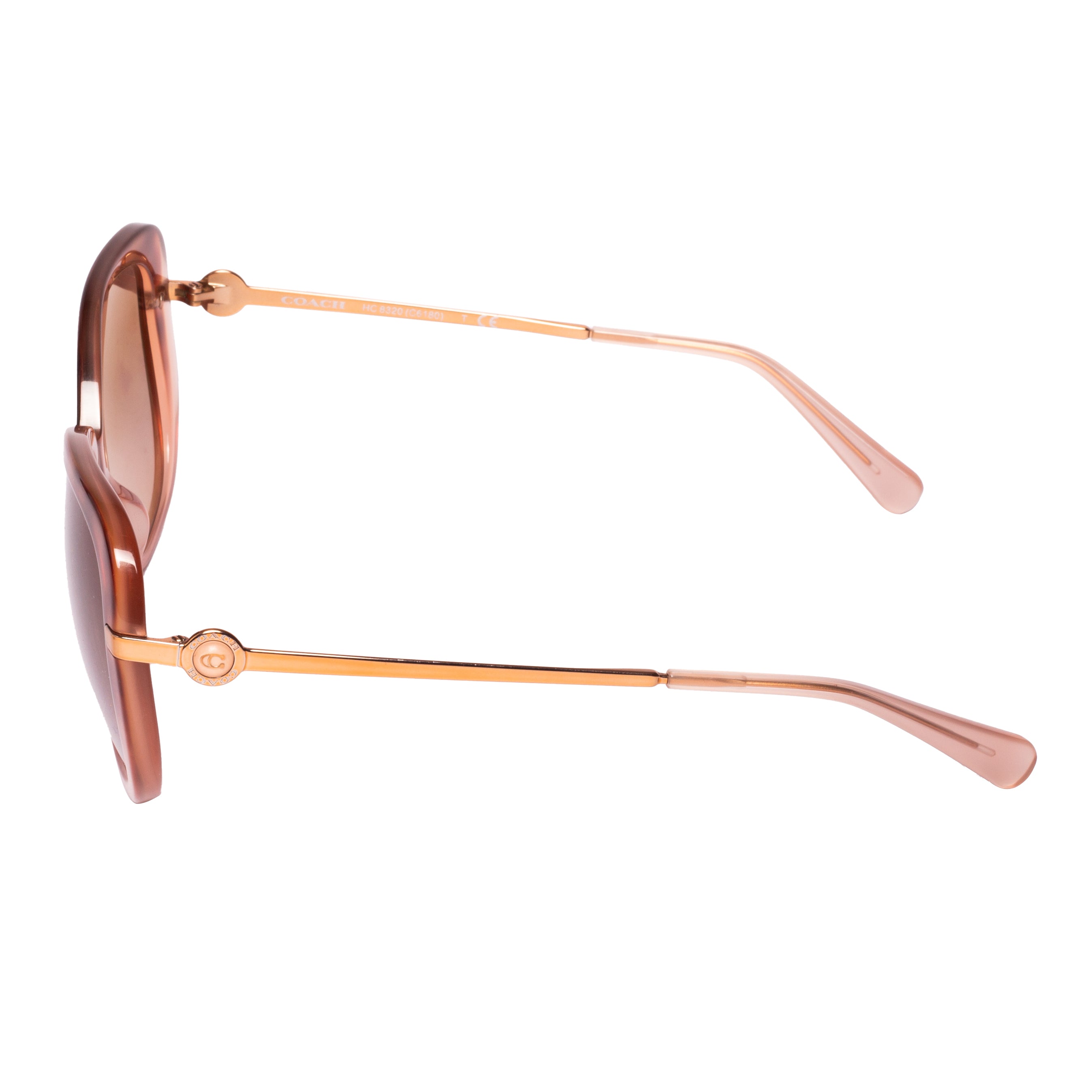 Coach-0HC8320-55-565294 Sunglasses - Premium Sunglasses from Coach - Just Rs. 9890! Shop now at Laxmi Opticians