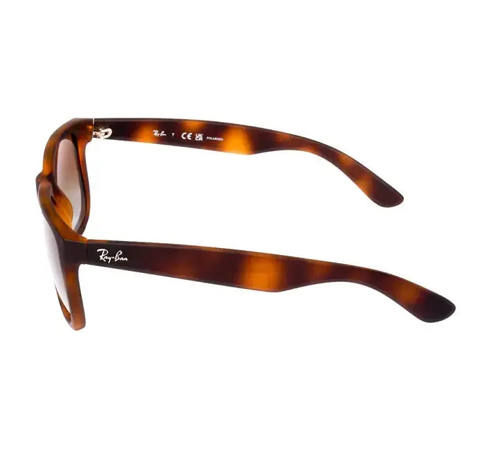 Rayban RB 4165-55-856/T5 Sunglasses - Premium Sunglasses from Rayban - Just Rs. 11890! Shop now at Laxmi Opticians