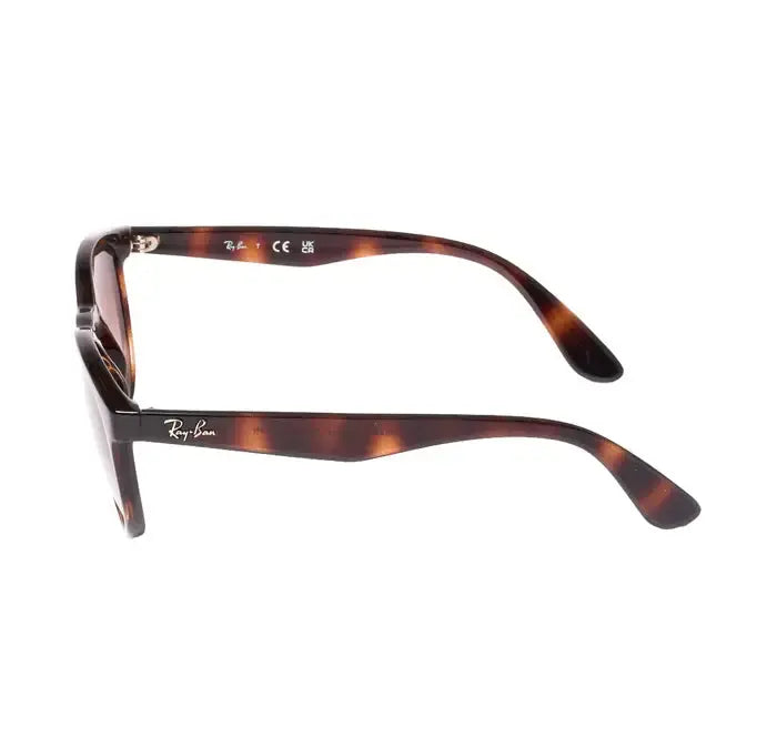 Rayban RB 4252I-51-710/13 Sunglasses - Premium Sunglasses from Rayban - Just Rs. 6290! Shop now at Laxmi Opticians