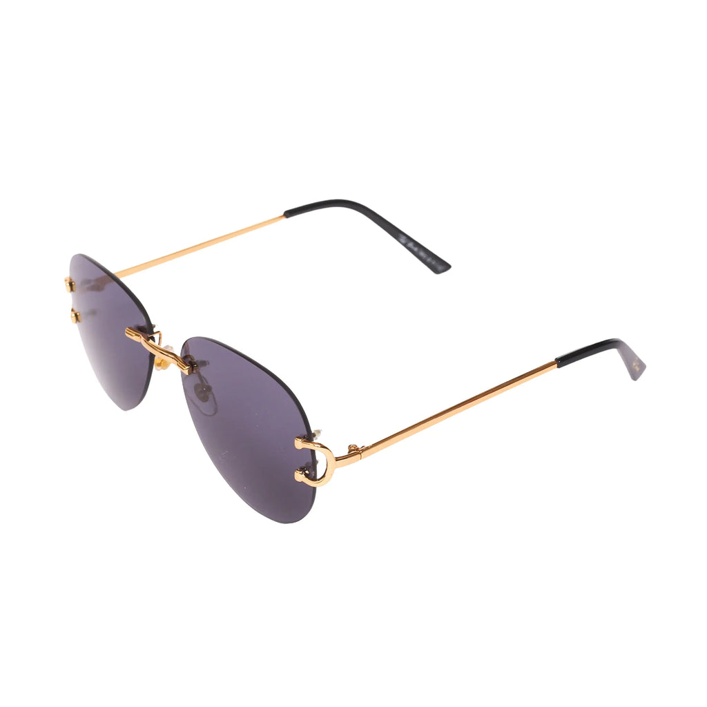 Ted Smith TS-AS-0002 Sunglasses - Premium Sunglasses from Tad Smith - Just Rs. 2890! Shop now at Laxmi Opticians