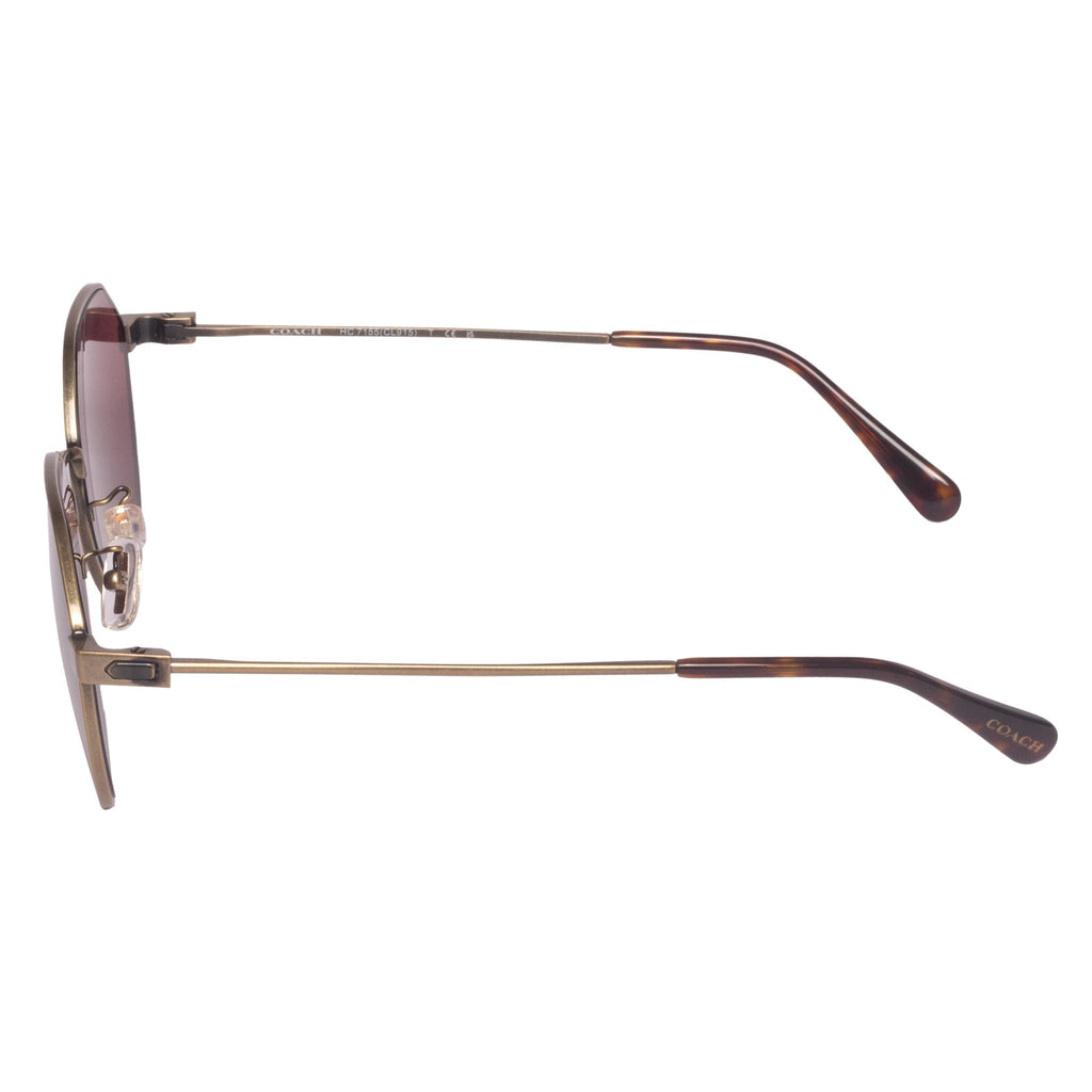 Coach-HC 7155-54-933375 Sunglasses - Premium Sunglasses from Coach - Just Rs. 11790! Shop now at Laxmi Opticians