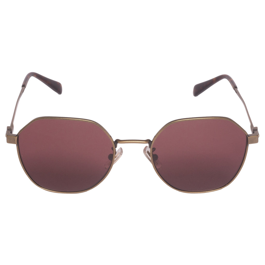 Coach-HC 7155-54-933375 Sunglasses - Premium Sunglasses from Coach - Just Rs. 11790! Shop now at Laxmi Opticians